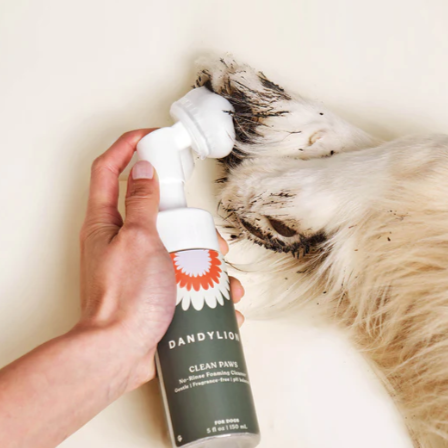 Clean Paws No-Rinse Foaming Cleanser