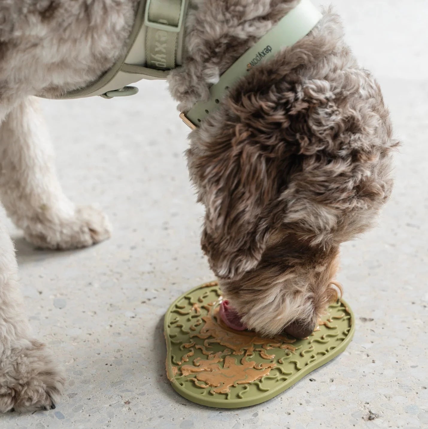 Avocado Enrichment Lick Mat