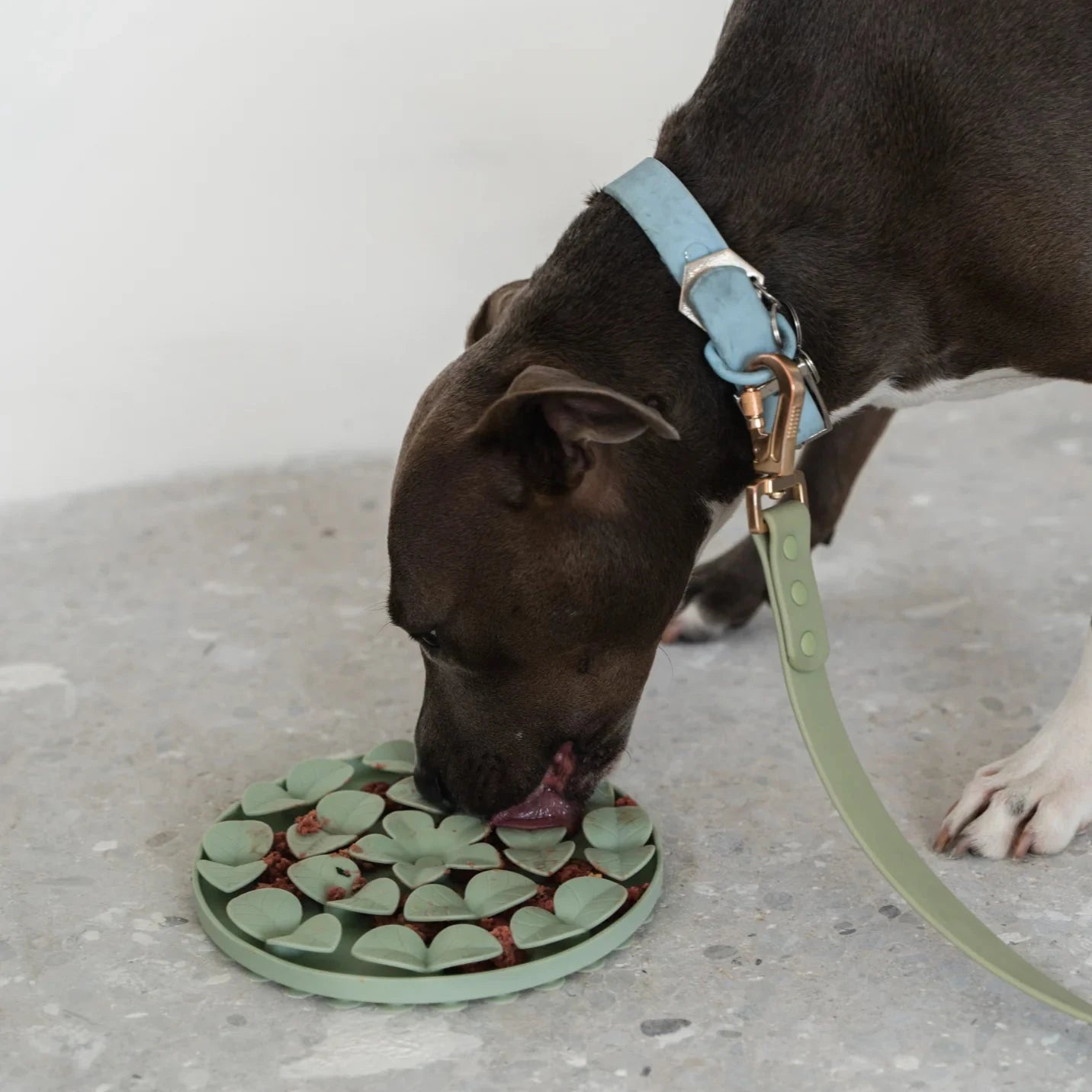 Silicone Circle Enrichment Snuffle Mat