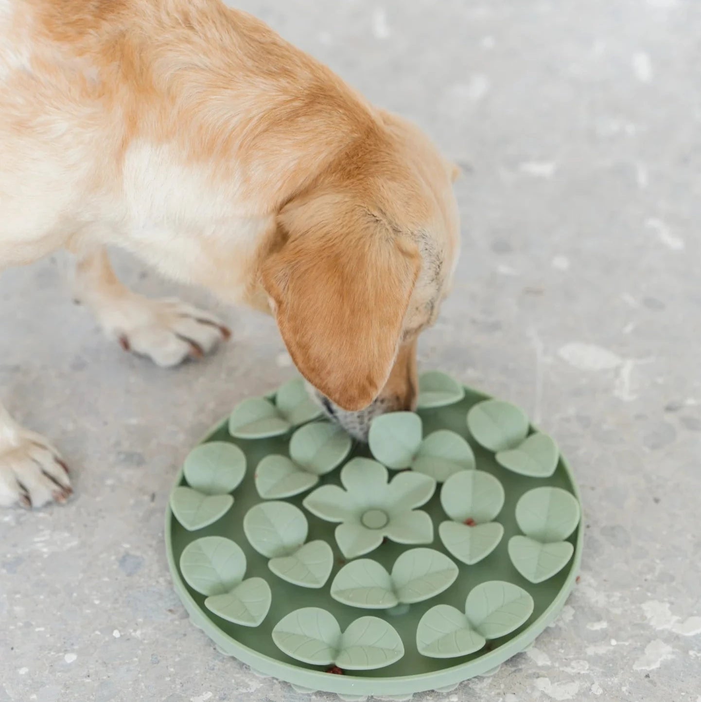 Silicone Circle Enrichment Snuffle Mat