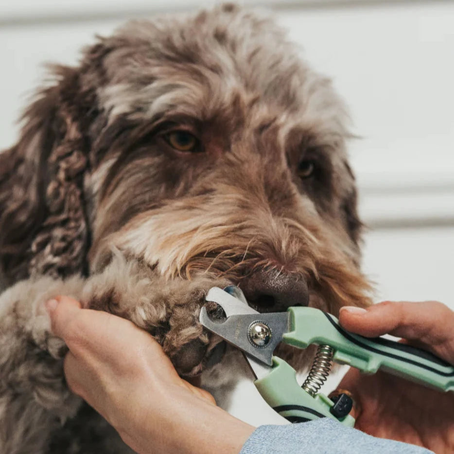 Pet Nail Clipper
