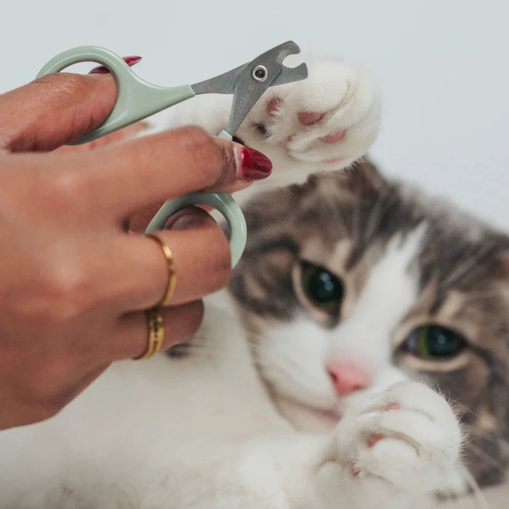 Nail Clipper for Cats & Small Dogs