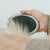 Grooming Palm Brush