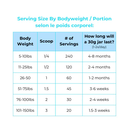 Gut (Allergies) & Immunity All Natural Mushroom Based Supplement