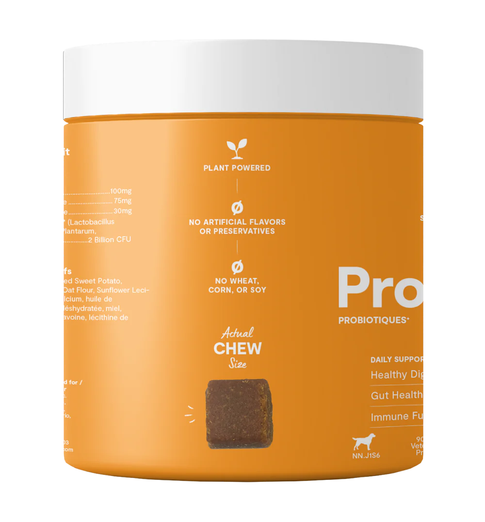 Probiotic Supplement Chews for Dogs