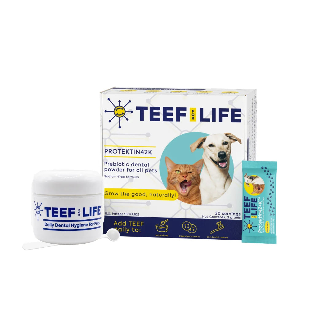 TEEF for Life - Protektin42+K - Kit: Prebiotic Dental Powder for ALL pets (Sodium-free)