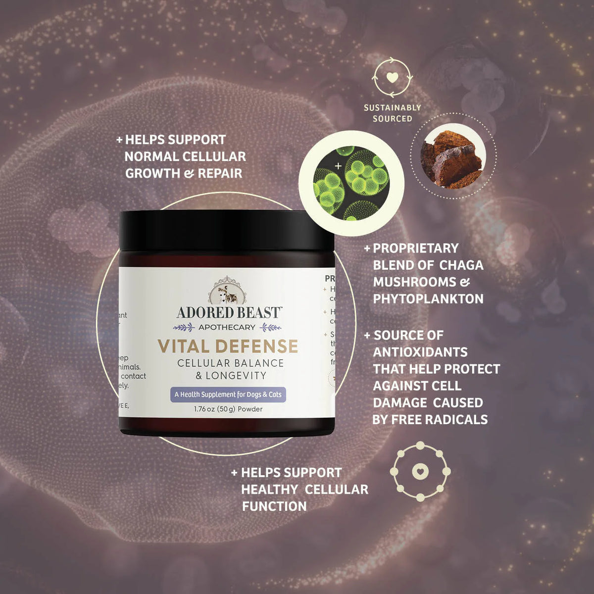 Vital Defense | Cellular Balance & Longevity