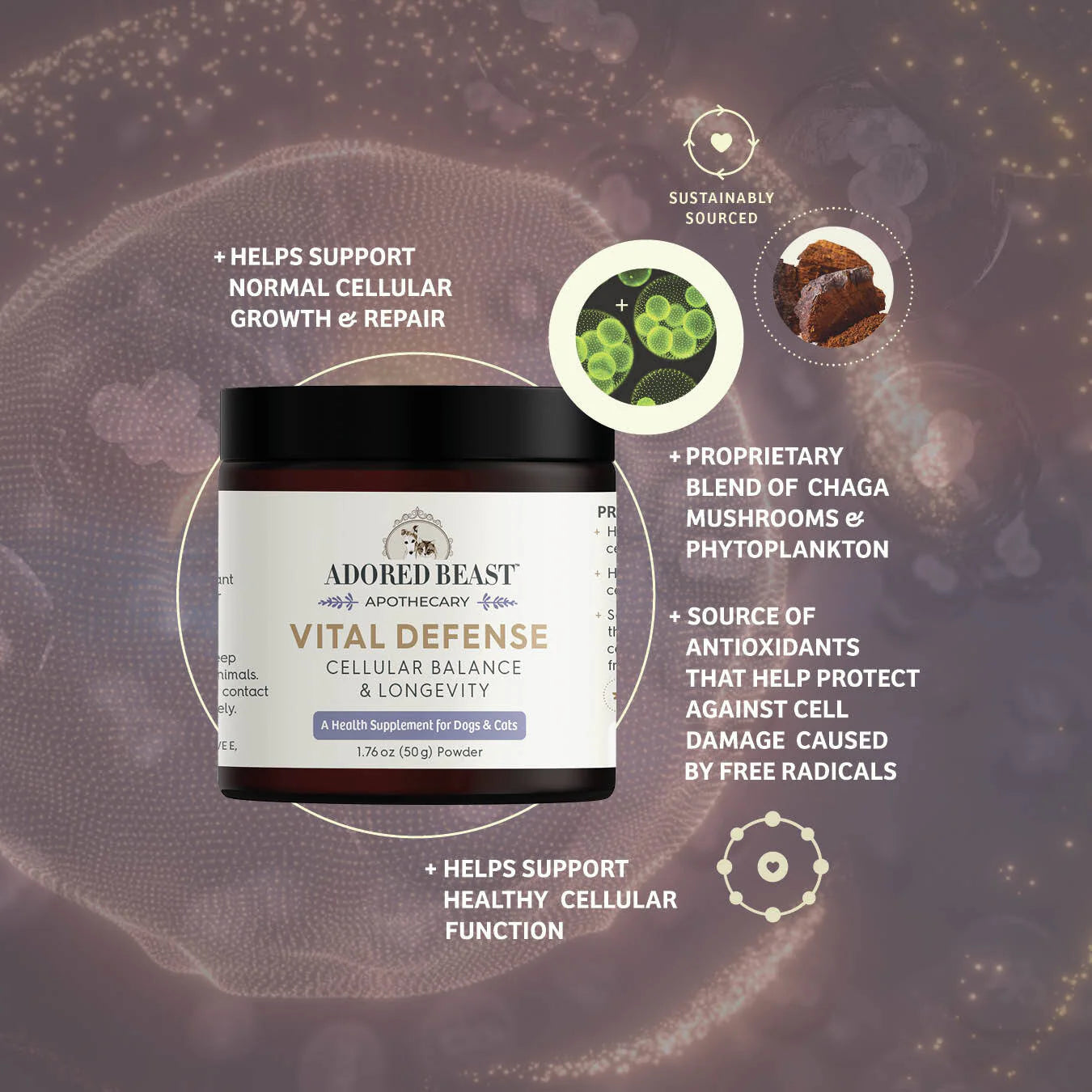 Vital Defense | Cellular Balance & Longevity