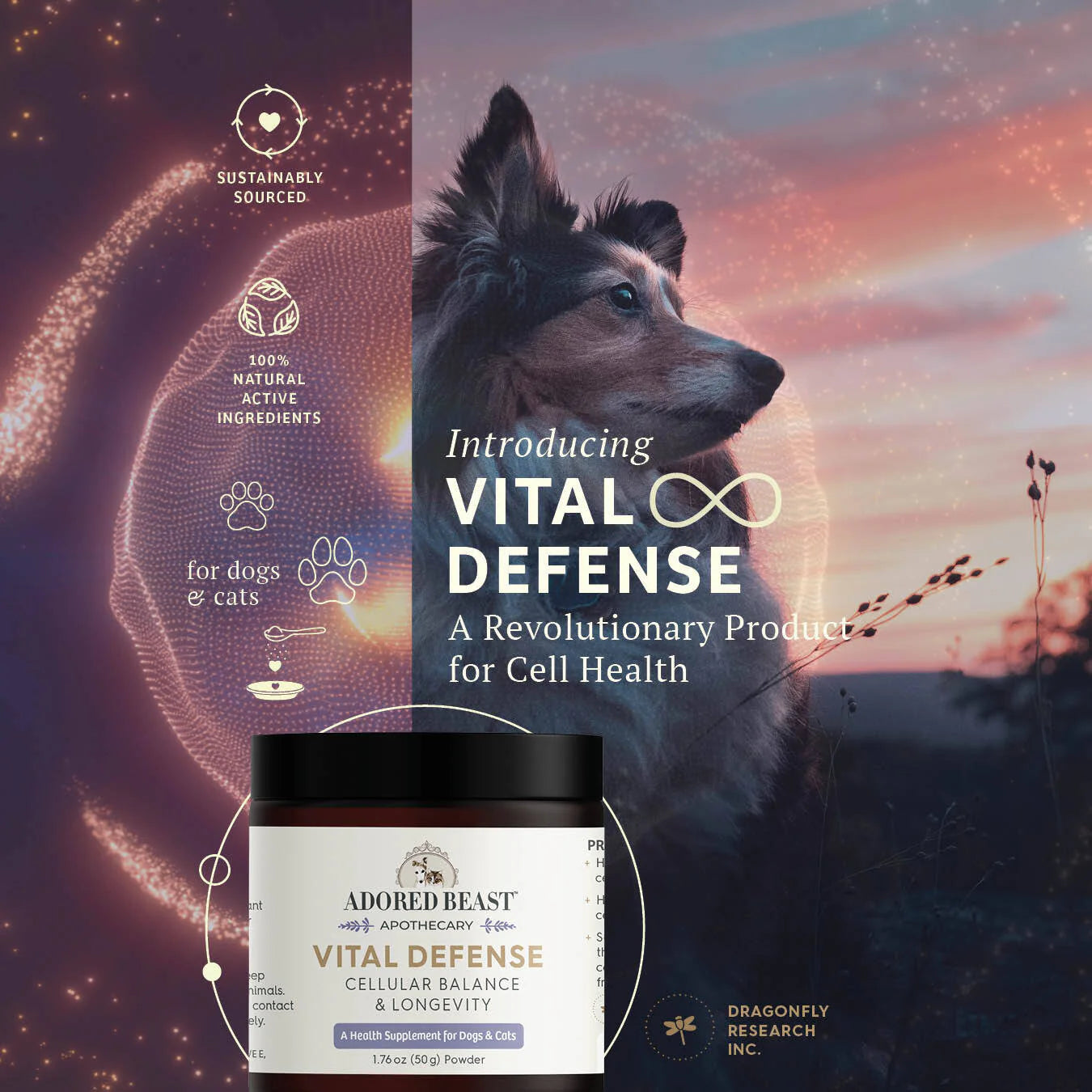 Vital Defense | Cellular Balance & Longevity