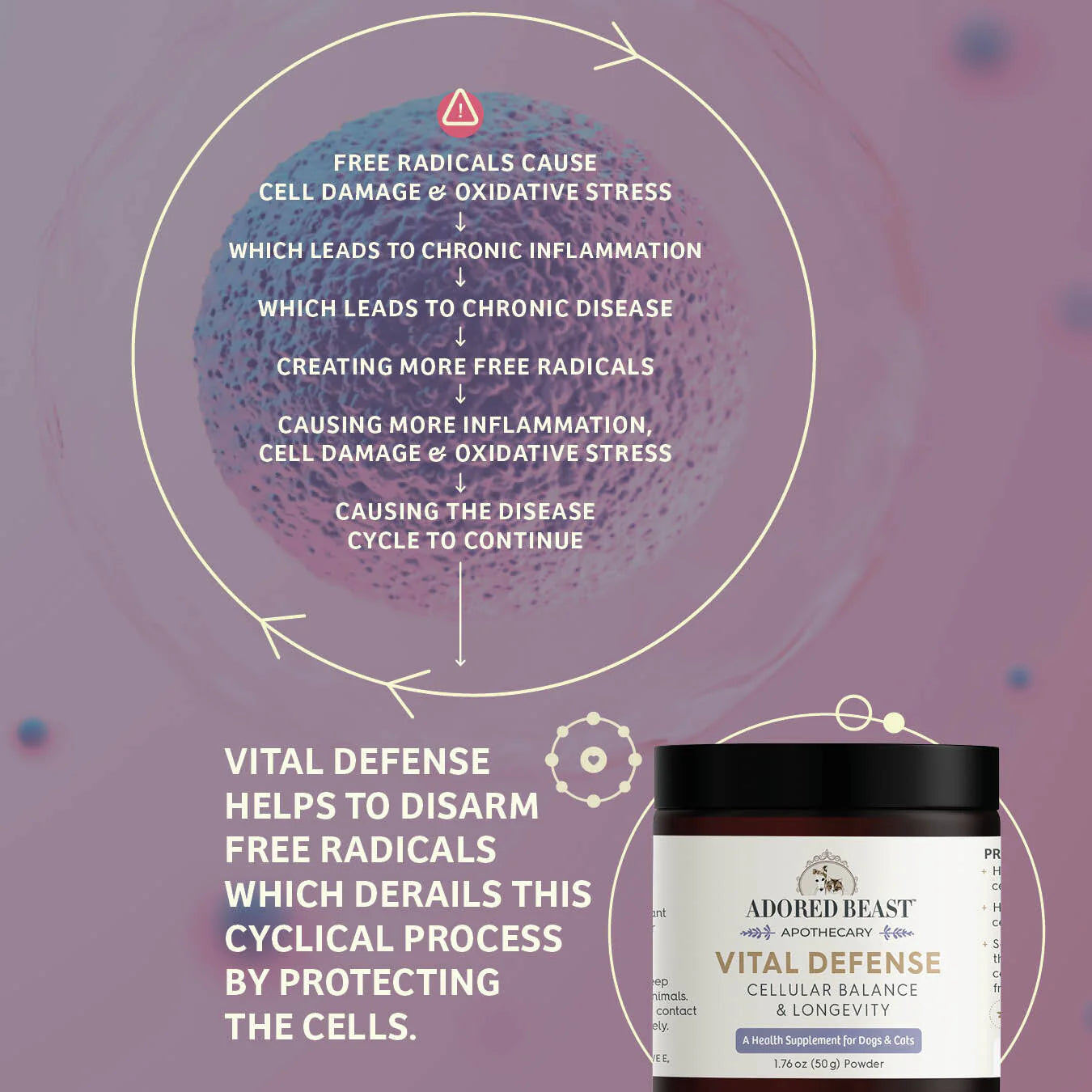Vital Defense | Cellular Balance & Longevity