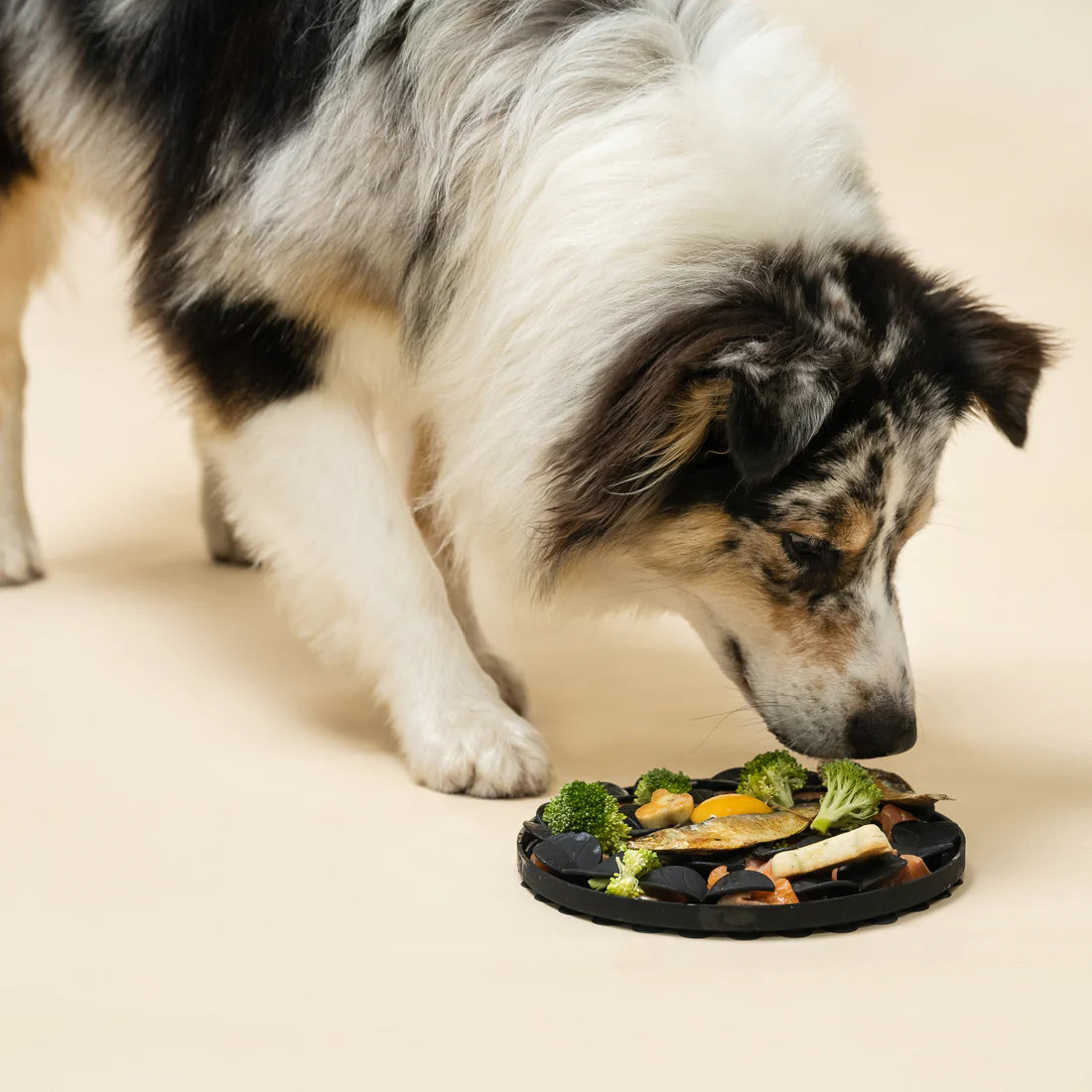 Dog eating mat best sale