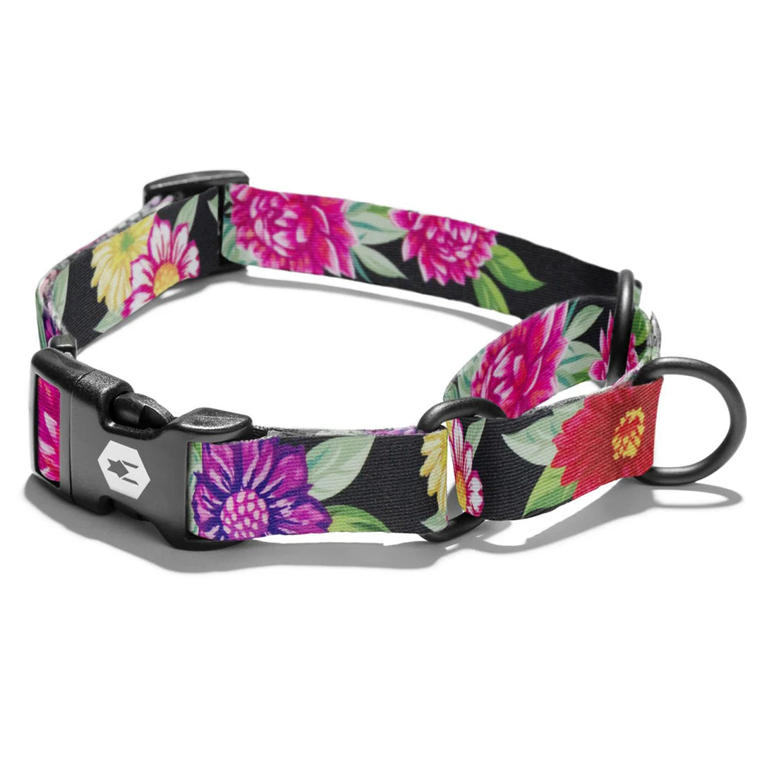 DarkFloral Martingale Dog Collar (Copy)