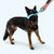 Zwig Rubber Toy