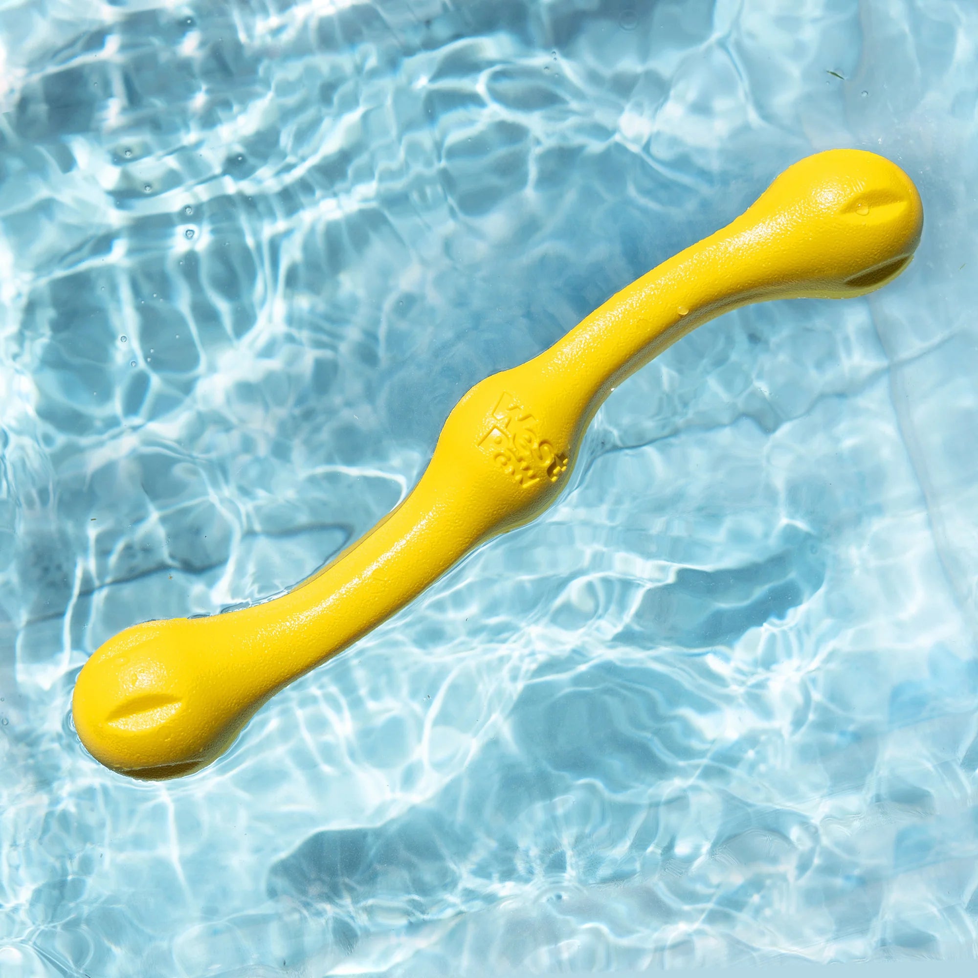 Zwig Rubber Toy