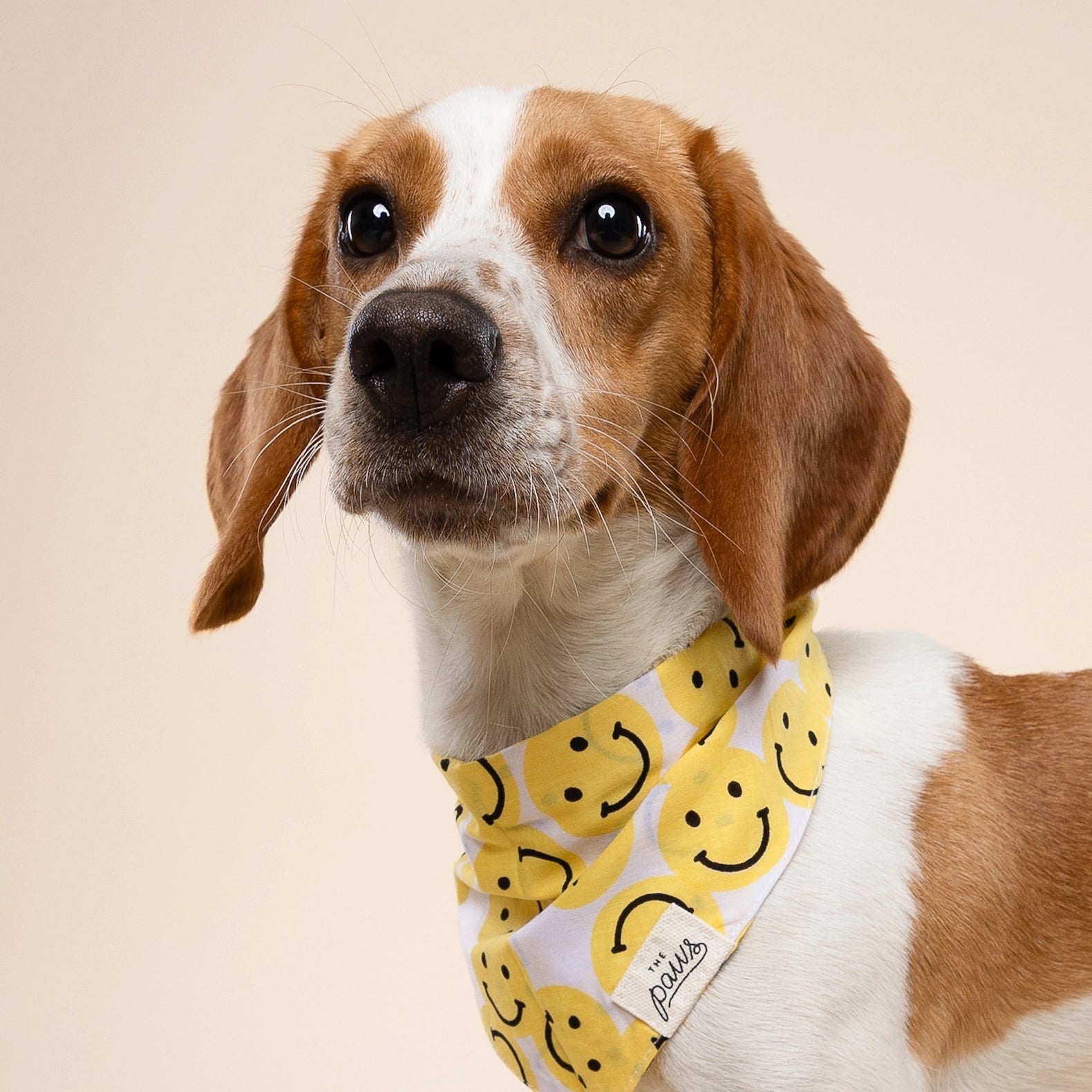 Smile Bandana
