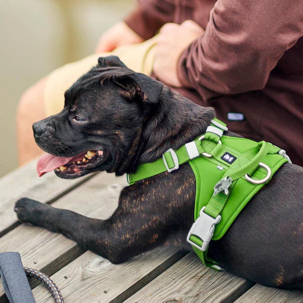 Weekend Warrior Harness II Eco - Parsley