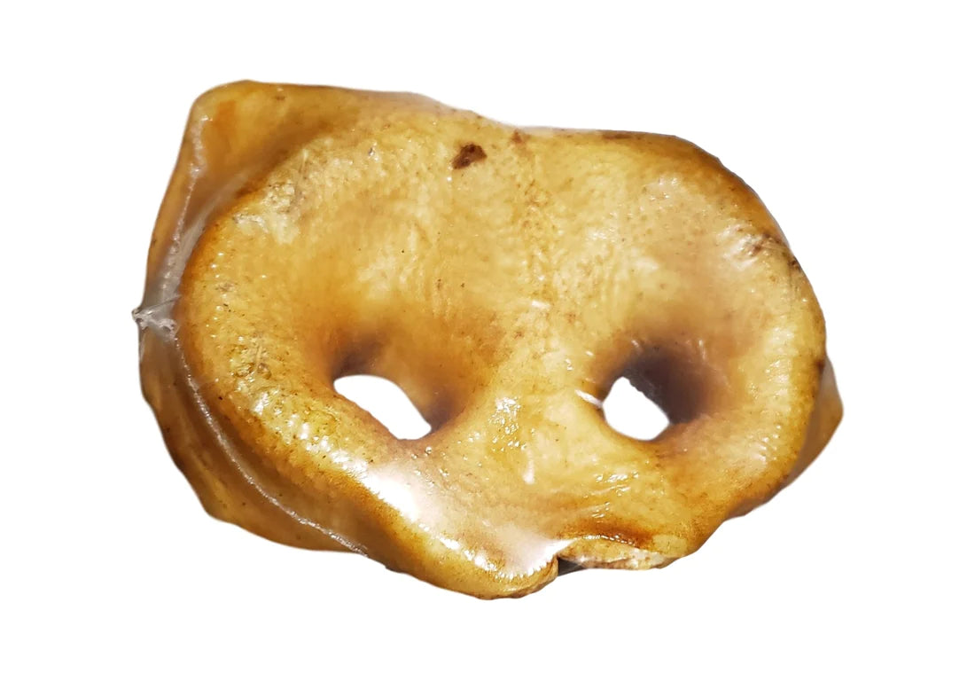 Smoked Pork Snout