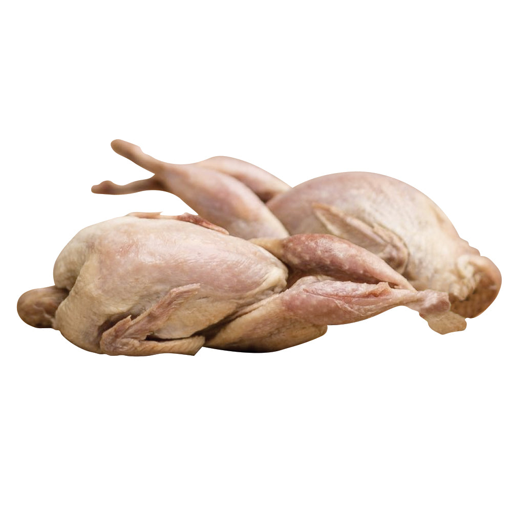 Frozen Featherless Whole Quail