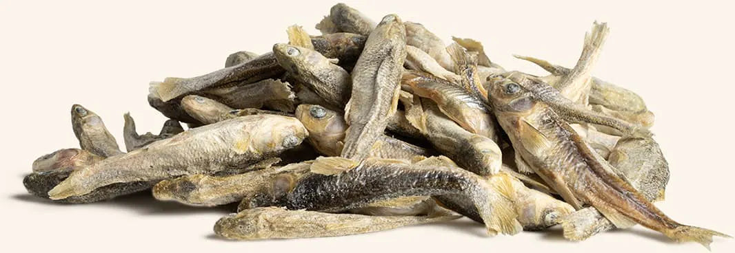 Freeze-Dried Raw Minnows
