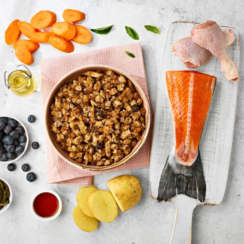 Adult Dog Grain & Gluten Free Salmon with Chicken in Herb Jelly