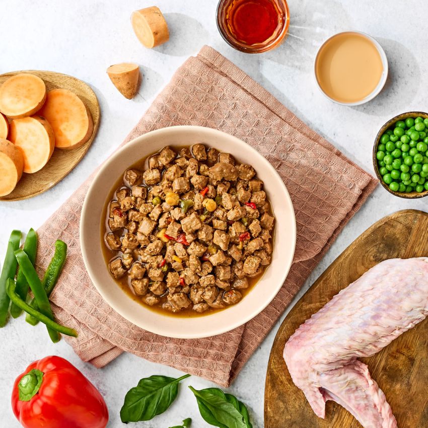 Adult Dog Grain & Gluten Free Poultry Selection - 6 Pack