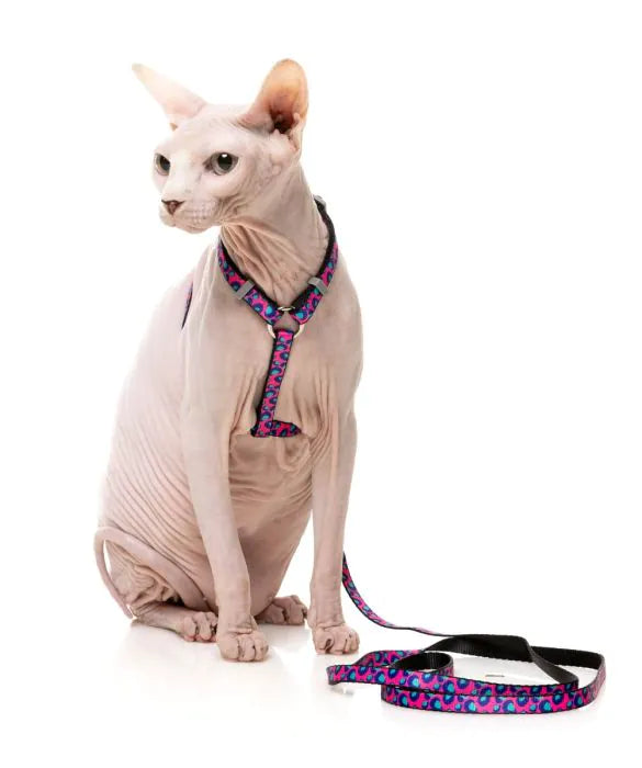 Wild One Bubblegum - Cat Walking Set