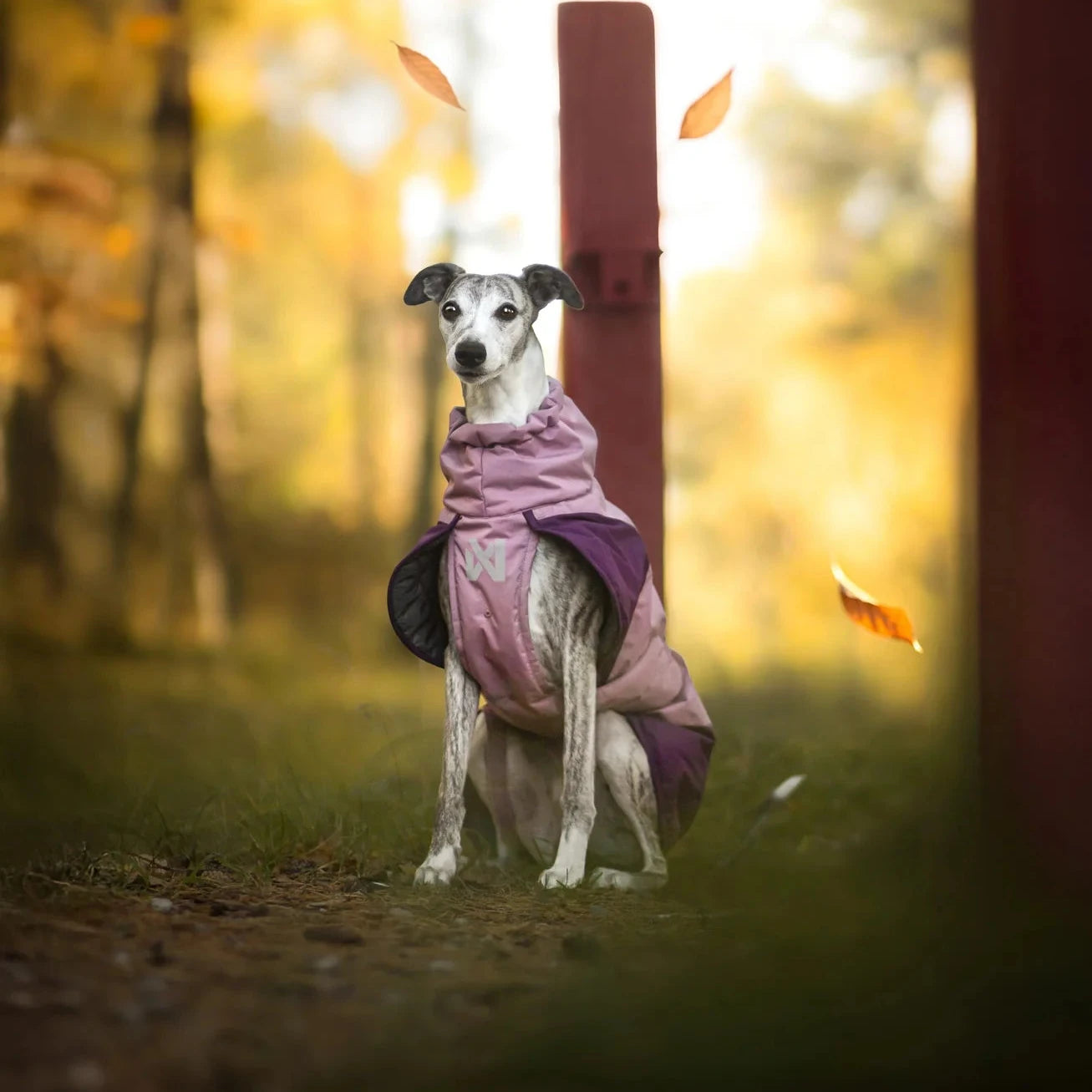 Glacier Jacket 3.0 - Teal