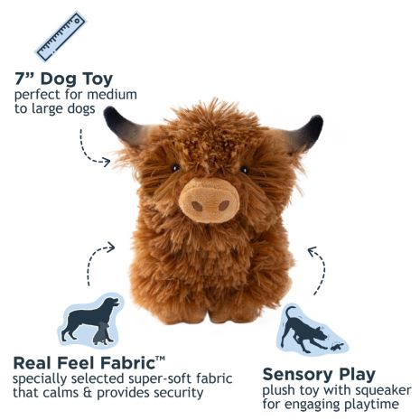 Highland Cow with Squeaker