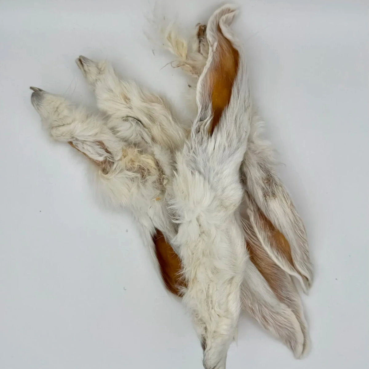 Dehydrated Rabbit Ears