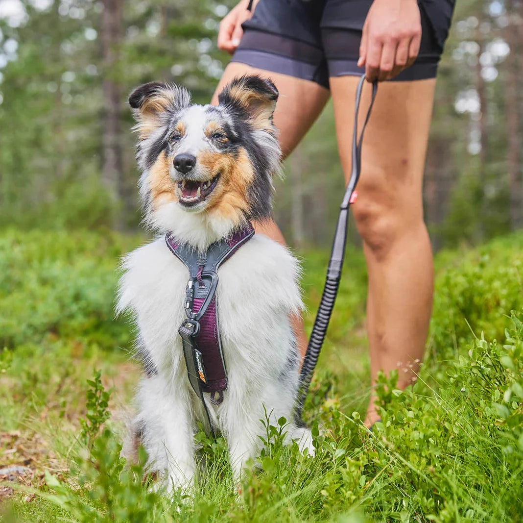 Line Harness 5.0 - Black