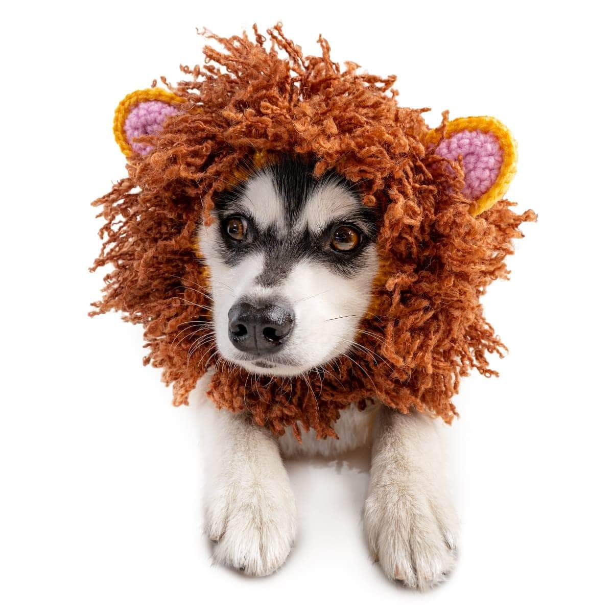 Lion Zoo Snood