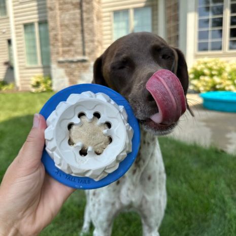 Natural Rubber Polar Freezable Toy