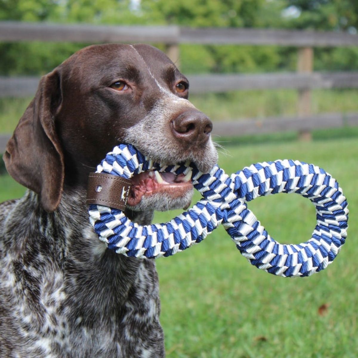 Navy Braided Infinity Tug Toy