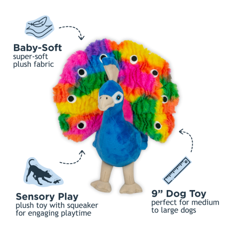 Peacock with Squeaker