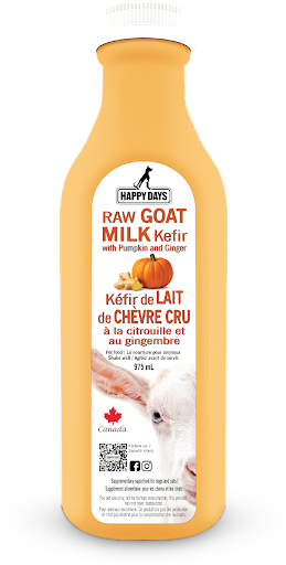 Raw Goat&#39;s Milk Kefir with Pumpkin &amp; Ginger