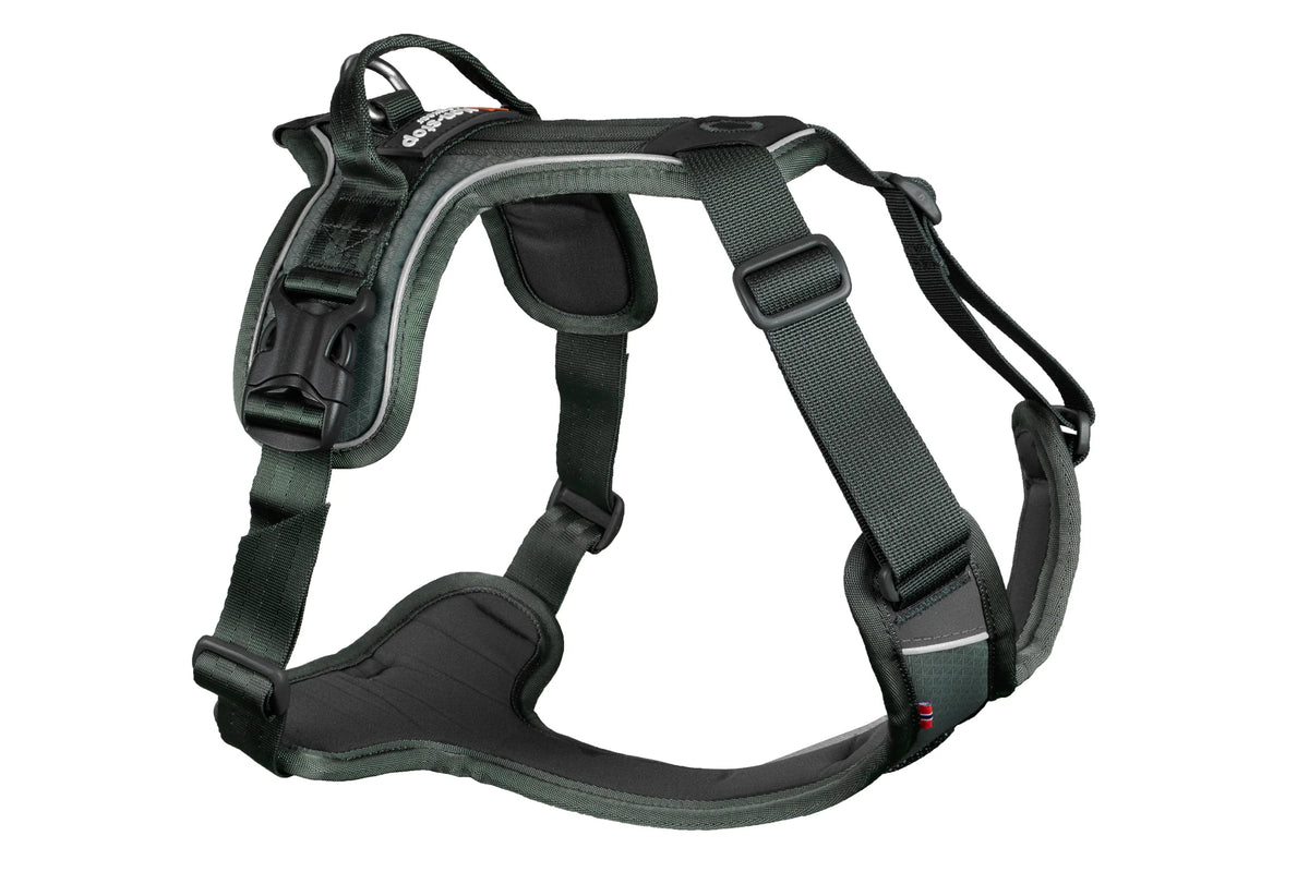 Ramble Harness - Green
