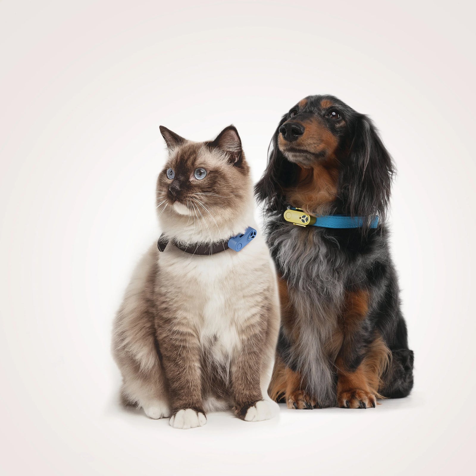 TICKLESS® Mini Chemical-free Tick and Flea Device, Rechargeable