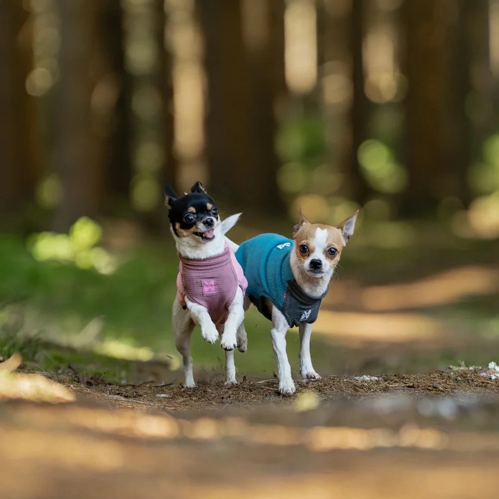 Trail Quest Fleece Pullover - Teal