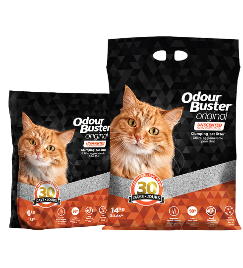 Odour Buster Original Cat Litter