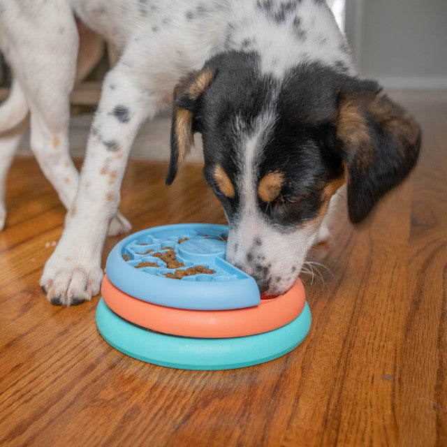 Flying Saucer Dog Game Slow Food Feeder and Anti Choke Puzzle – Mypettrendz