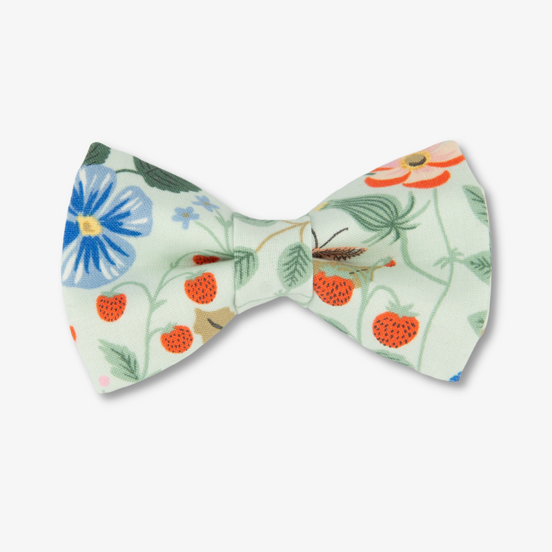 Fields Bow Tie