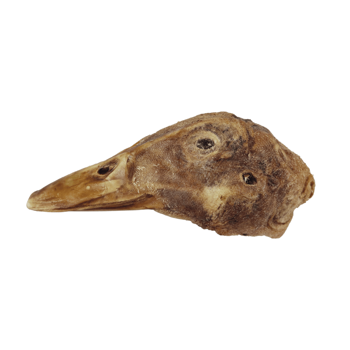 Dehydrated Duck Heads