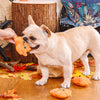 Autumn Tailz - Leaf Bag