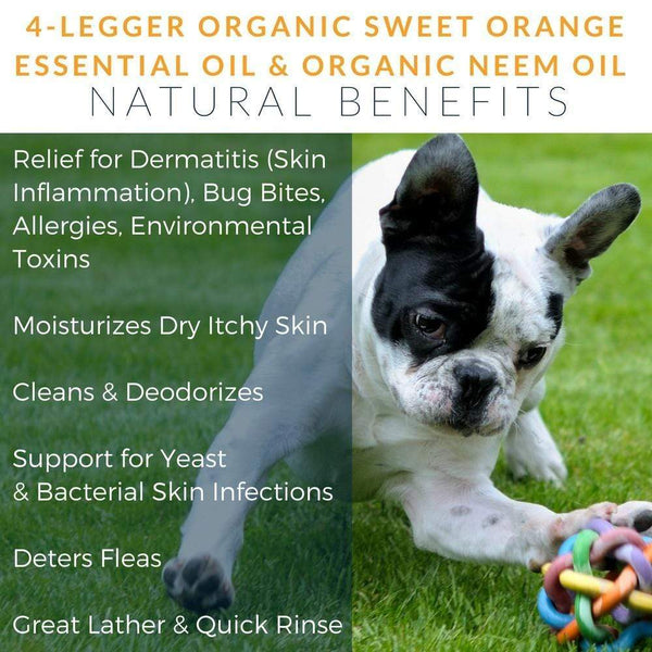 4Legger REVITALIZE USDA Certified Organic Neem Dog Shampoo Little Chief Co