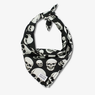 Dog shop skull bandana