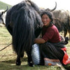 Organic Himalayan Yak Milk Dental Chew