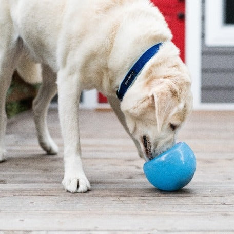 Orbee-Tuff Snoop Interactive Treat Toy