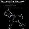 Razzle-Dazzle ECO Y-Harness in Beetroot