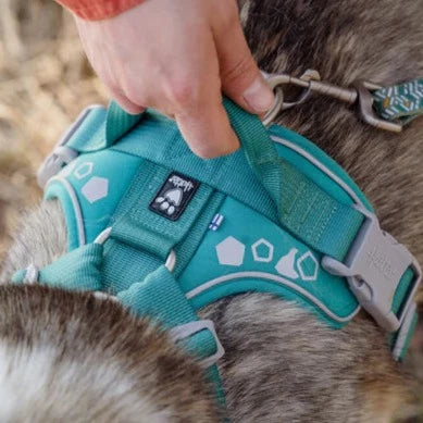 Weekend Warrior Harness - Peacock