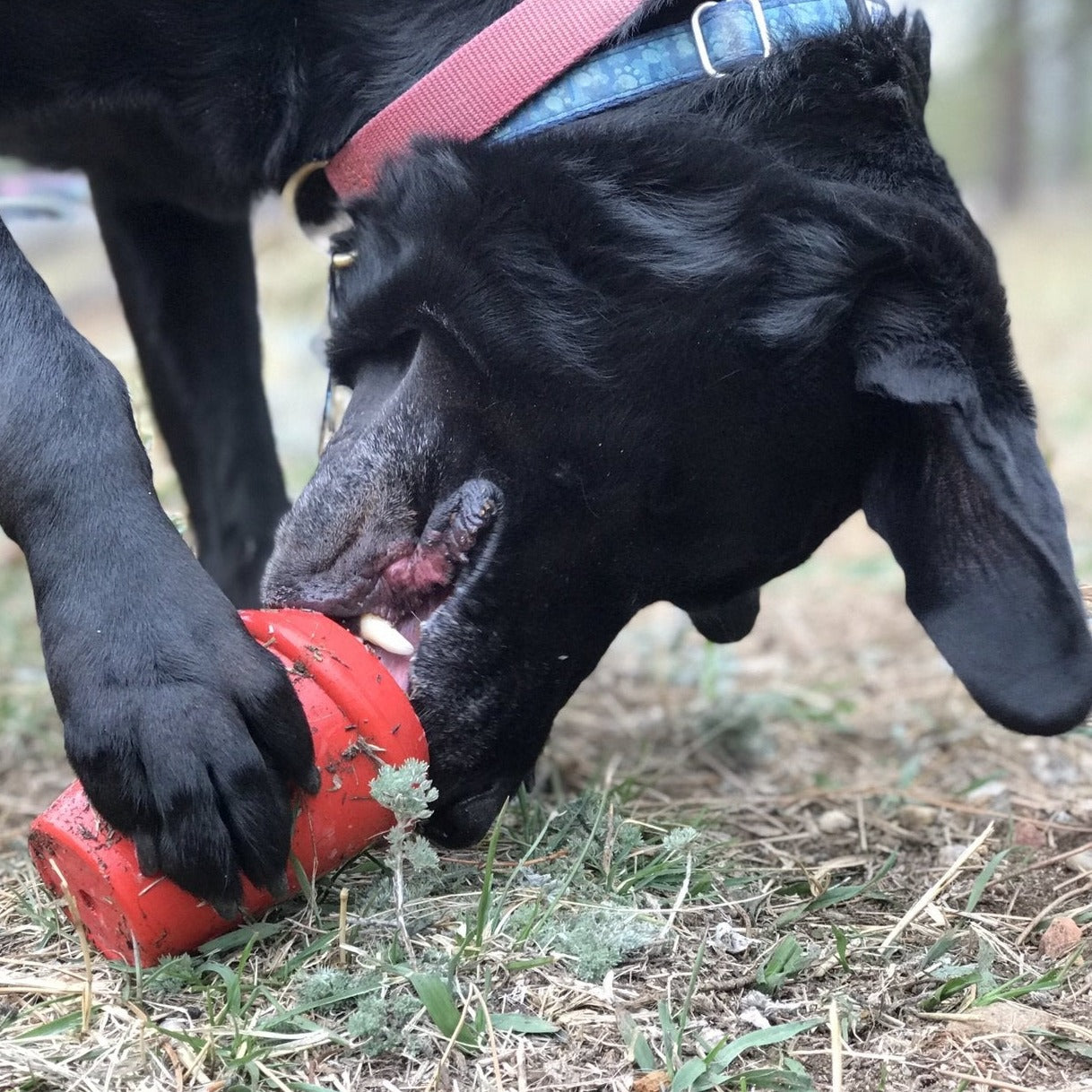 SODAPUP Coffee Cup Toy